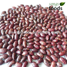 Bulk vanilla red speckled kidney beans